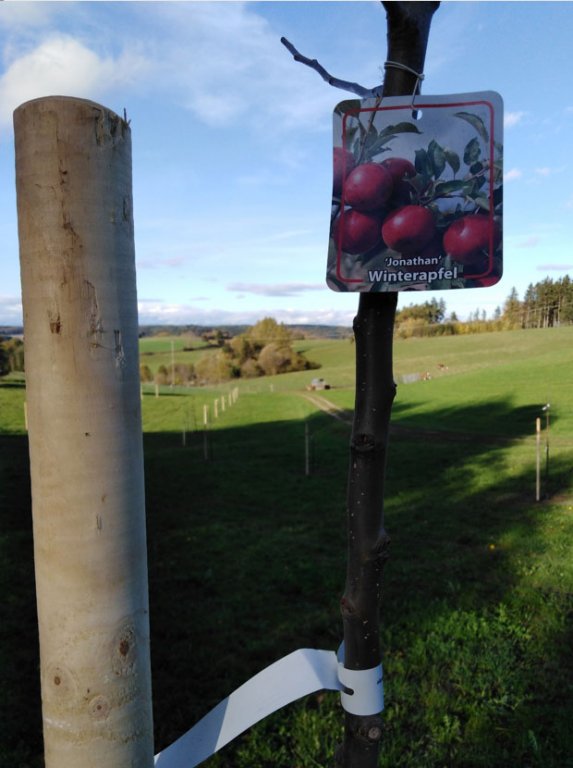 Diplomaten in Gummistiefeln 3/5 Diplomaten in Gummistiefeln 3/5